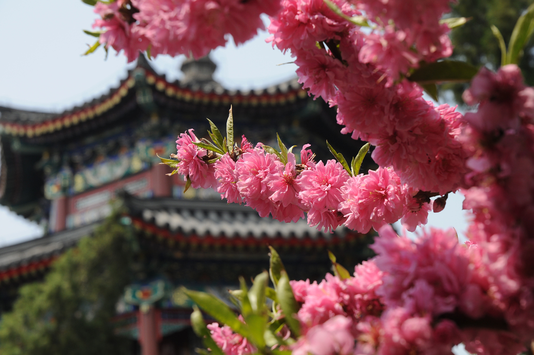078   Chiny
